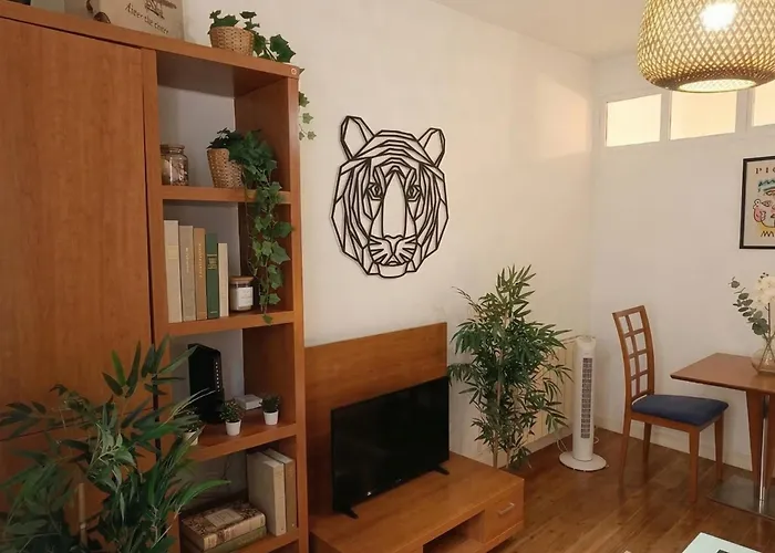Acogedor San Lorenzo - 1 Apartment